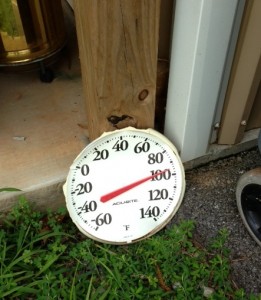 Thermometer2013