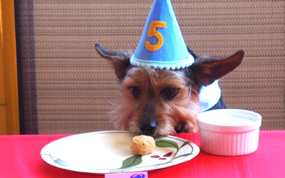 Doolittle is 5!