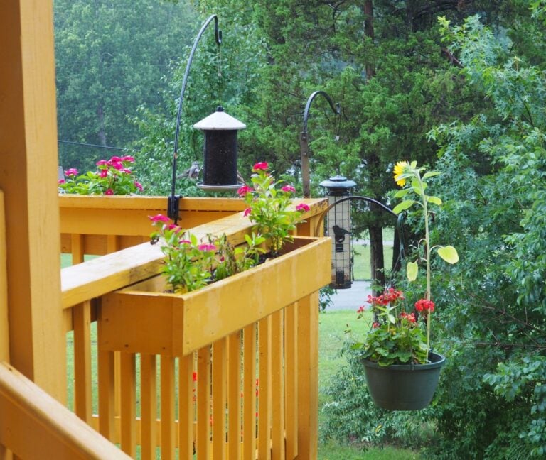 Bird feeders and flowers on the deck at Bedford Landings Bed and Breakfast