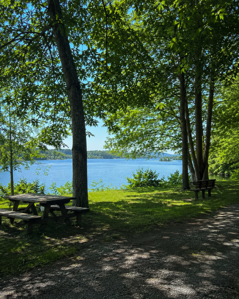 Shaded lakeside park with a wooden picnic table and bench beside a path, overlooking a calm blue lake and green tree canopy