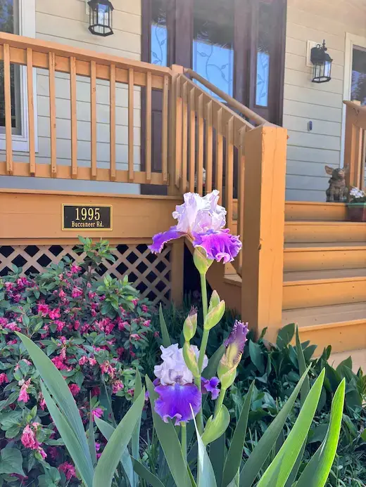 Front porch and garden at Bedford Landings Bed & Breakfast in Moneta, Virginia, with blooming purple irises and wooden steps.