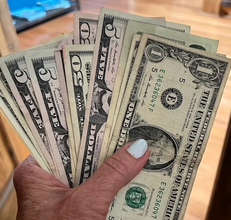 Cash in hand illustrating the extra service and cleaning fees travelers may encounter when booking a vacation rental